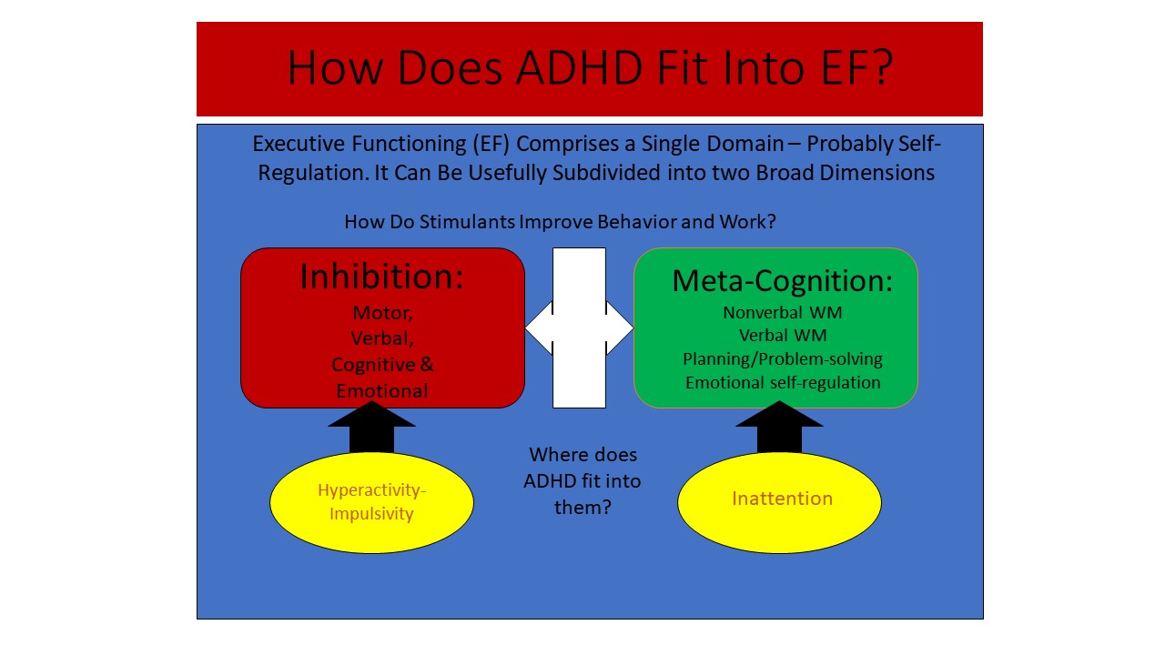 ADHD in Adults: Nature, Diagnosis, Impairments, and Long-Term Management -  by Russell A. Barkley, Ph.D., ABPP